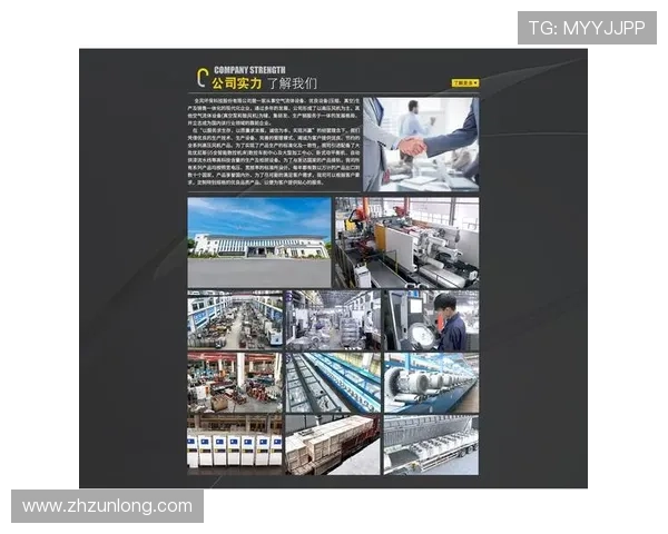 尊龙集团中国官方网站：丰富的产品线与创新技术展示